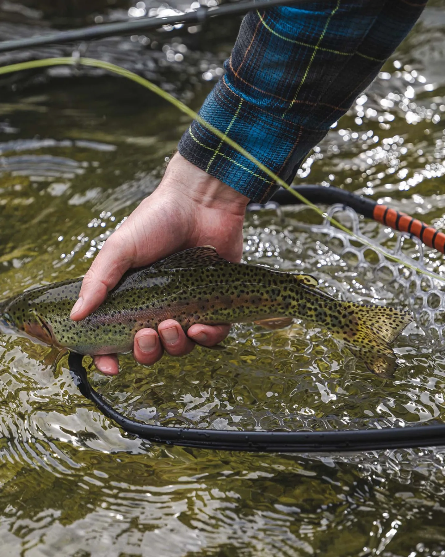 New Simms Fishing Daymaker Landing Net -Small